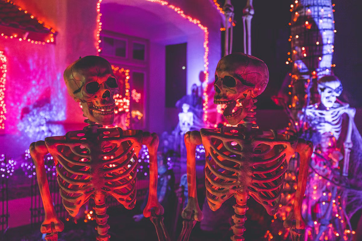 Rangkaian bunga Halloween dengan nuansa oranye, ungu, dan gelap AA Florist