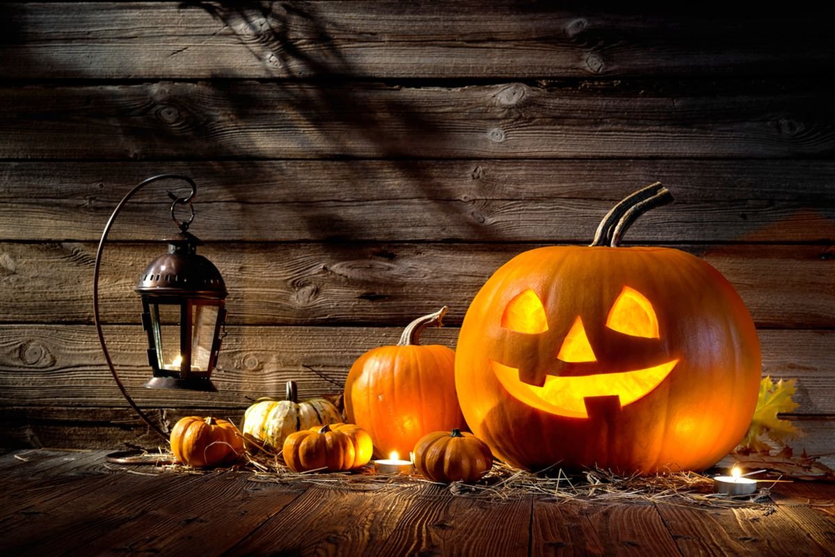 Inspirasi dekorasi dan bunga dengan suasana Halloween