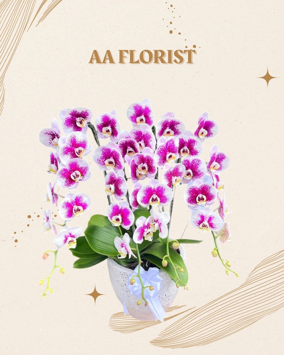 Orchid 4 Stem