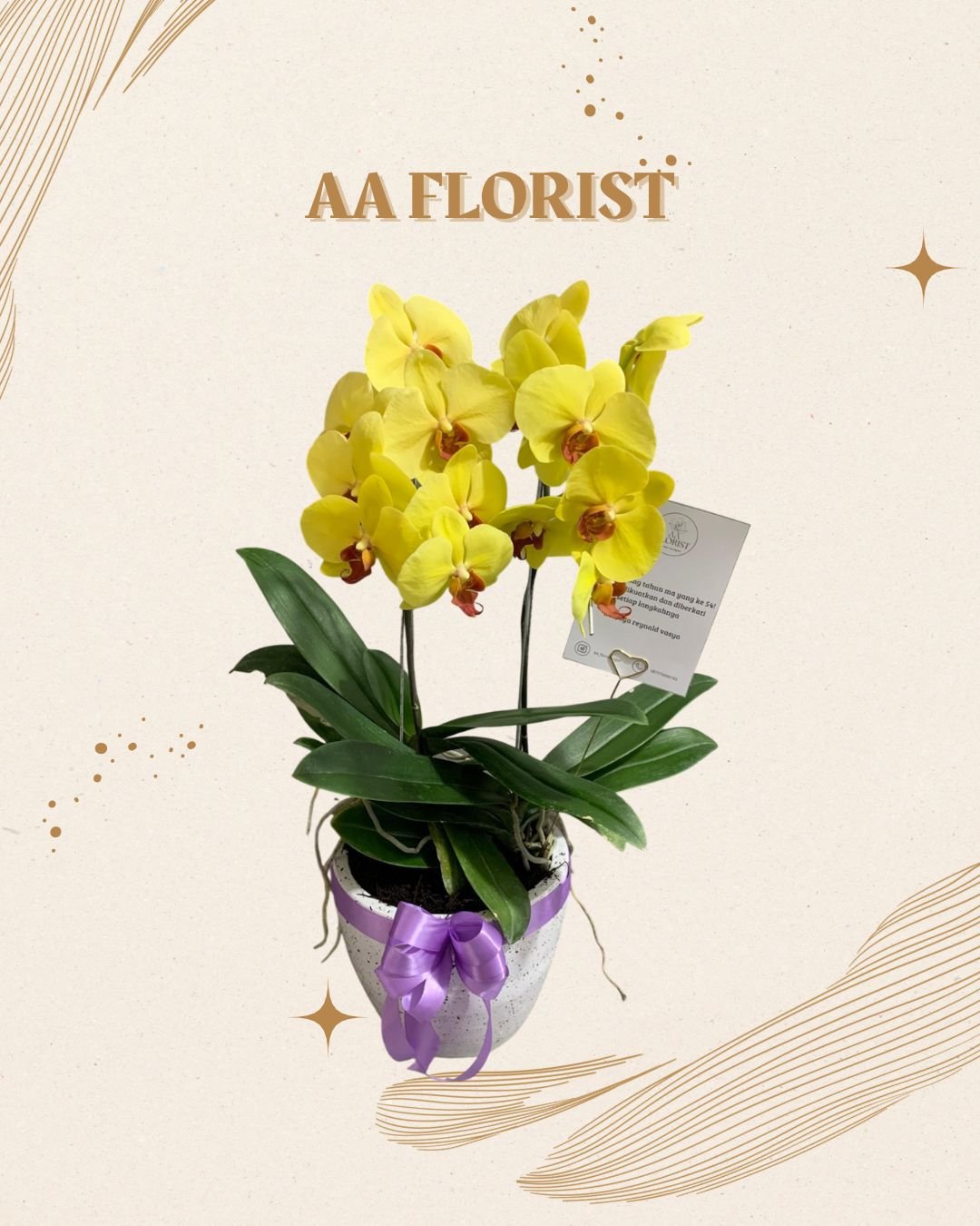 Orchid 4 Stem
