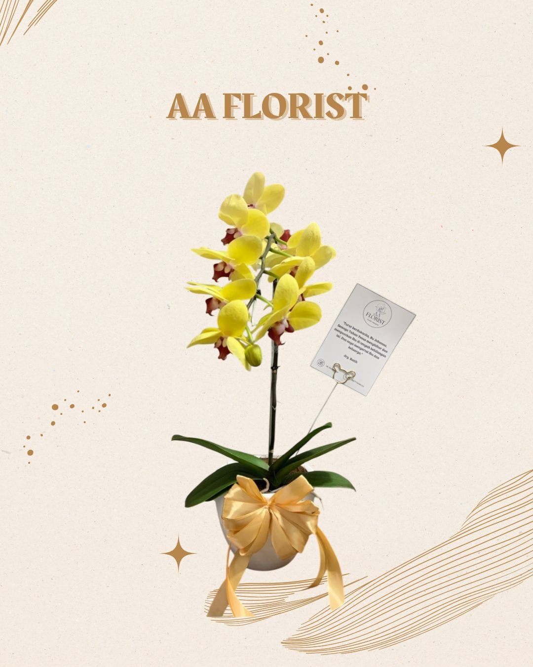 Orchid 1 Stem 