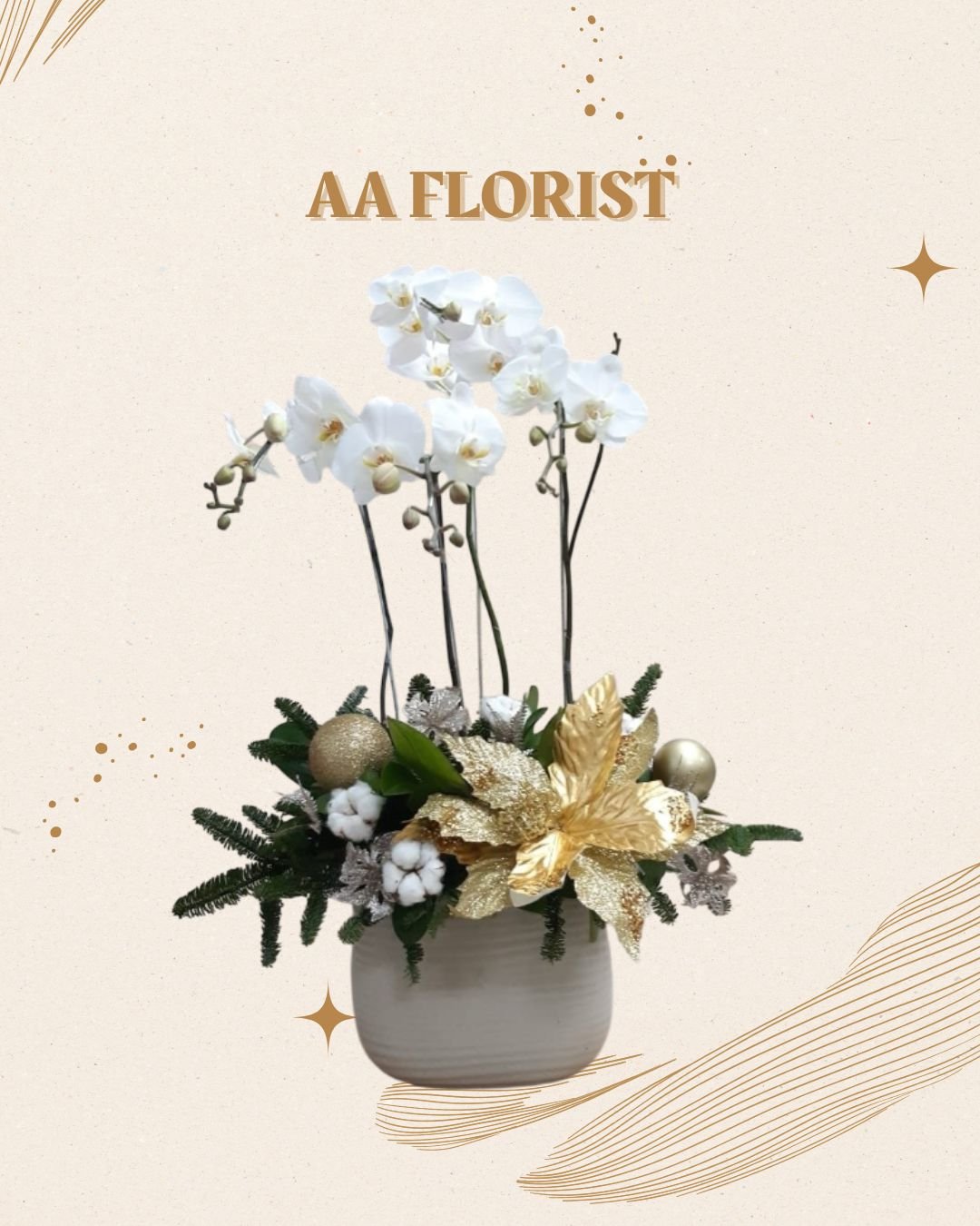 Anggrek Bulan Natal 2